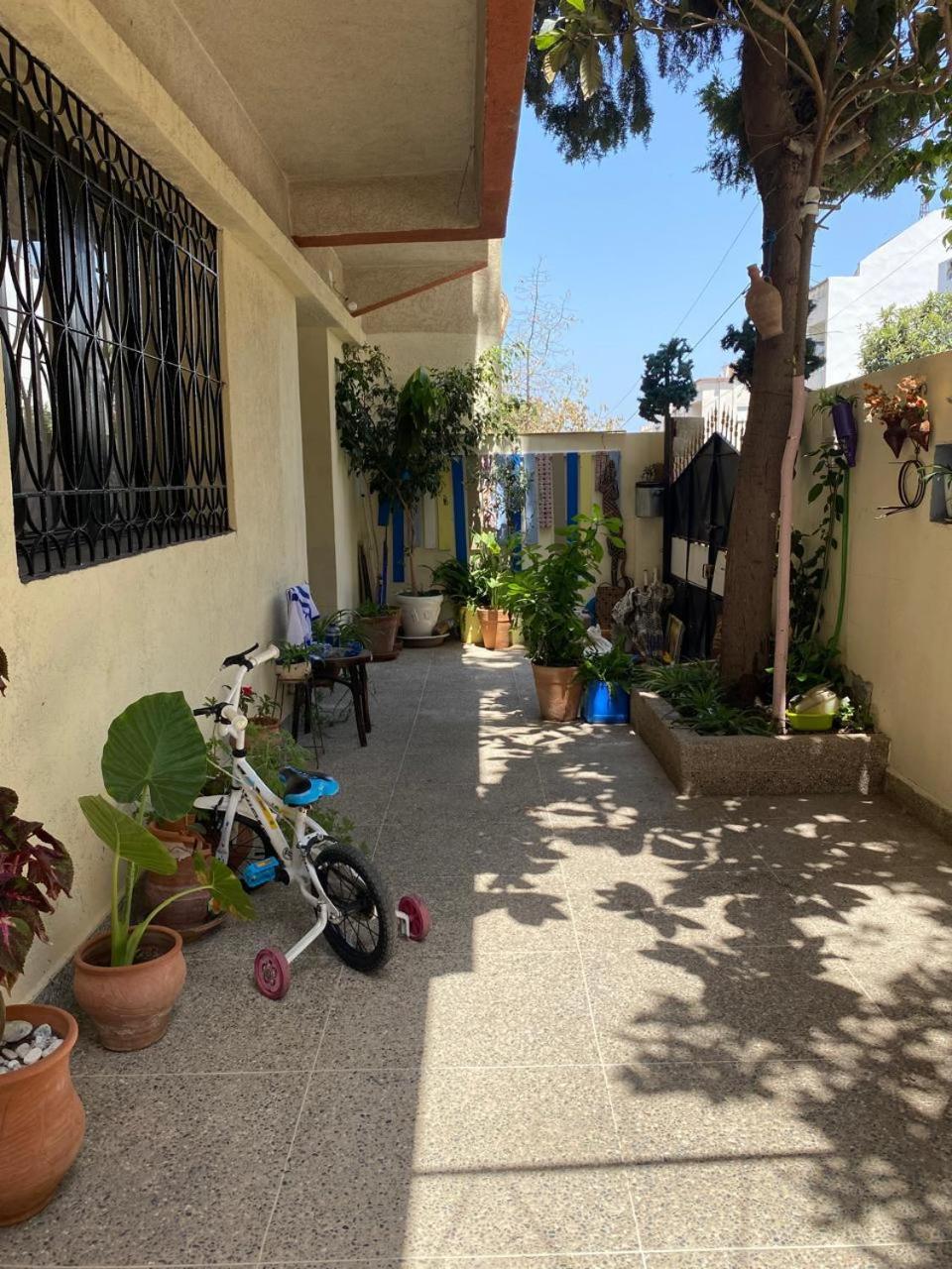 Dar Shamsy Hotel Souani  Buitenkant foto