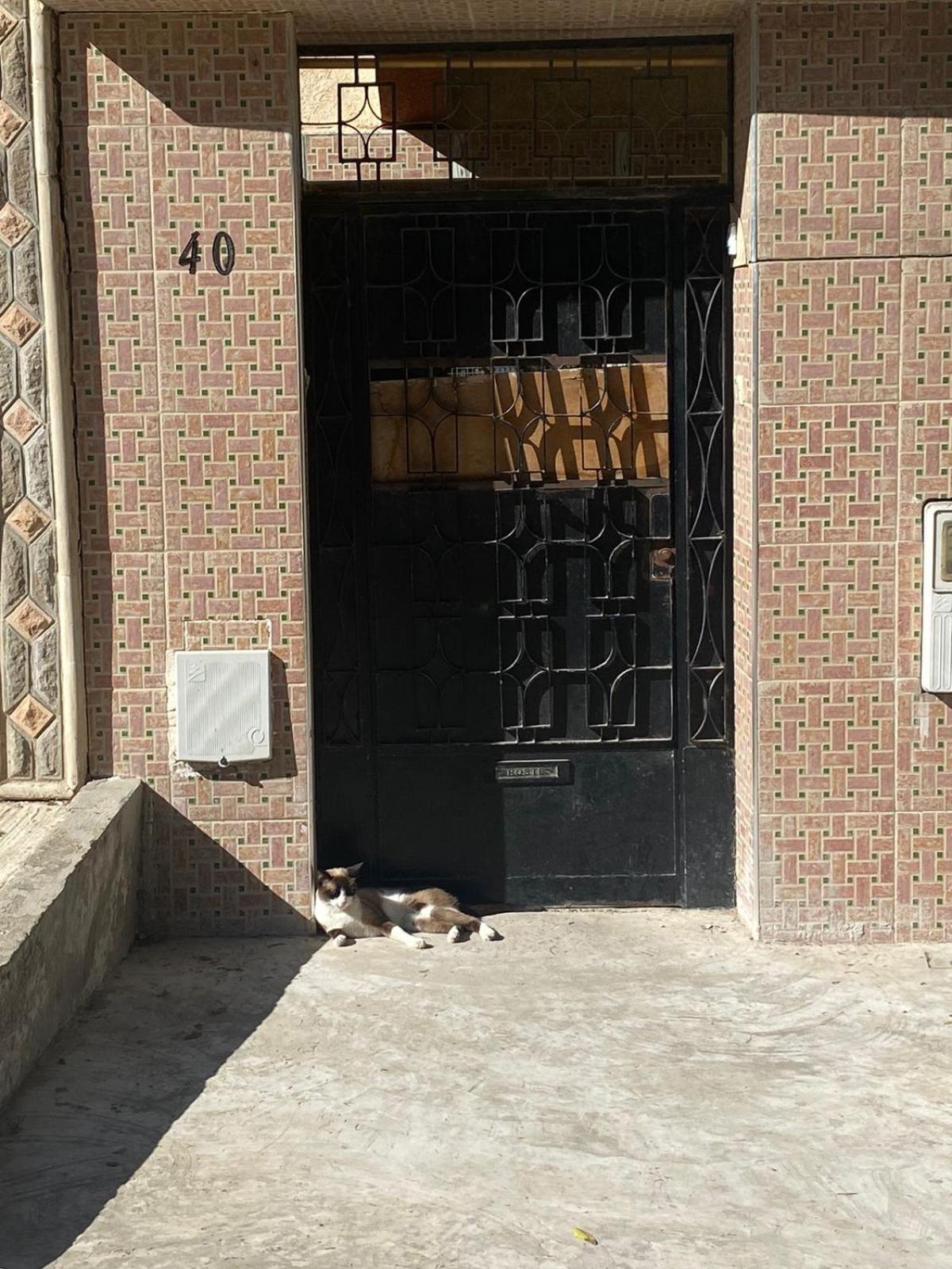 Dar Shamsy Hotel Souani  Buitenkant foto